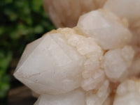 Natural XL Cascading Pineapple Quartz Cluster x 1 From Madagascar