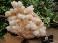 Natural XL Cascading Pineapple Quartz Cluster x 1 From Madagascar