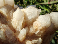 Natural Cascading Pineapple Candle Quartz Cluster x 1 From Madagascar