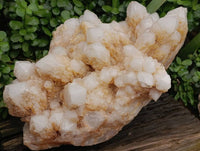 Natural XL Cascading Pineapple Quartz Cluster x 1 From Madagascar