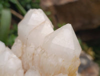 Natural XL Cascading Pineapple Quartz Cluster x 1 From Madagascar