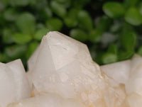 Natural XL Cascading Pineapple Quartz Cluster x 1 From Madagascar