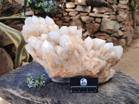 Natural Cascading Pineapple Candle Quartz Cluster x 1 From Madagascar