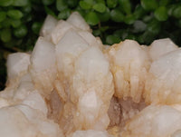 Natural XL Cascading Pineapple Quartz Cluster x 1 From Madagascar
