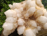 Natural XL Cascading Pineapple Quartz Cluster x 1 From Madagascar