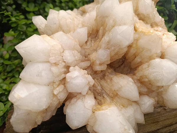 Natural XL Cascading Pineapple Quartz Cluster x 1 From Madagascar
