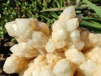 Natural Cascading Pineapple Candle Quartz Cluster x 1 From Madagascar
