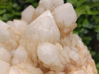 Natural XL Cascading Pineapple Quartz Cluster x 1 From Madagascar