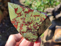 Polished Bastite Dragons Blood Stone Points x 2 From Tshipise, South Africa - Toprock Gemstones and Minerals 