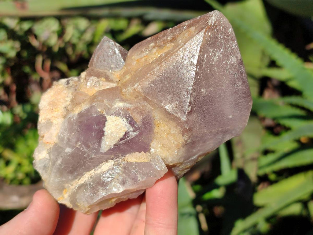 Natural Jacaranda Amethyst Quartz Clusters x 5 From Mumbwa, Zambia - Toprock Gemstones and Minerals 