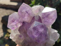Natural Jacaranda Amethyst Quartz Clusters x 5 From Mumbwa, Zambia - Toprock Gemstones and Minerals 