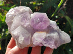 Natural Jacaranda Amethyst Quartz Clusters x 5 From Mumbwa, Zambia - Toprock Gemstones and Minerals 