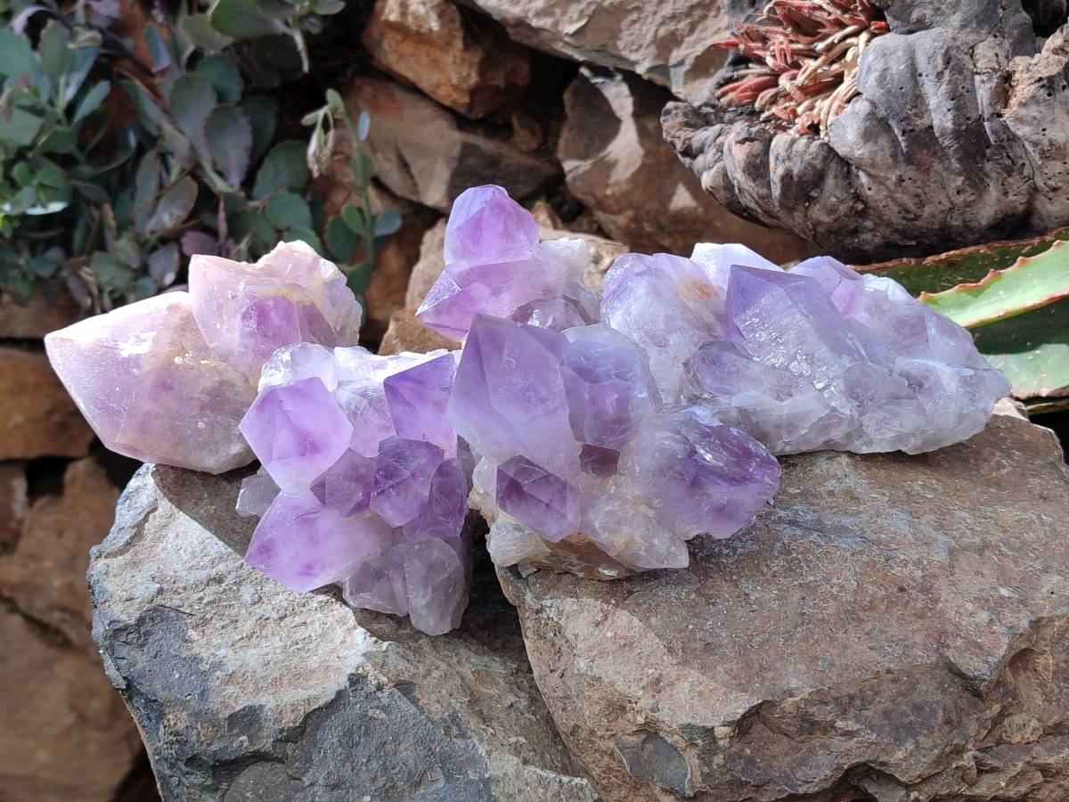Natural Jacaranda Amethyst Quartz Clusters x 5 From Mumbwa, Zambia - Toprock Gemstones and Minerals 