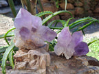 Natural Jacaranda Amethyst Quartz Clusters x 5 From Mumbwa, Zambia - Toprock Gemstones and Minerals 