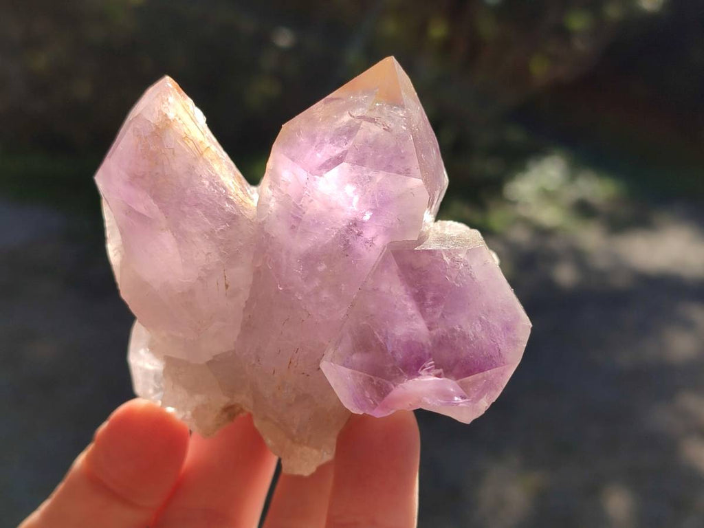 Natural Jacaranda Amethyst Quartz Clusters x 5 From Mumbwa, Zambia - Toprock Gemstones and Minerals 