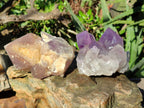 Natural Jacaranda Amethyst Quartz Clusters x 5 From Mumbwa, Zambia - Toprock Gemstones and Minerals 