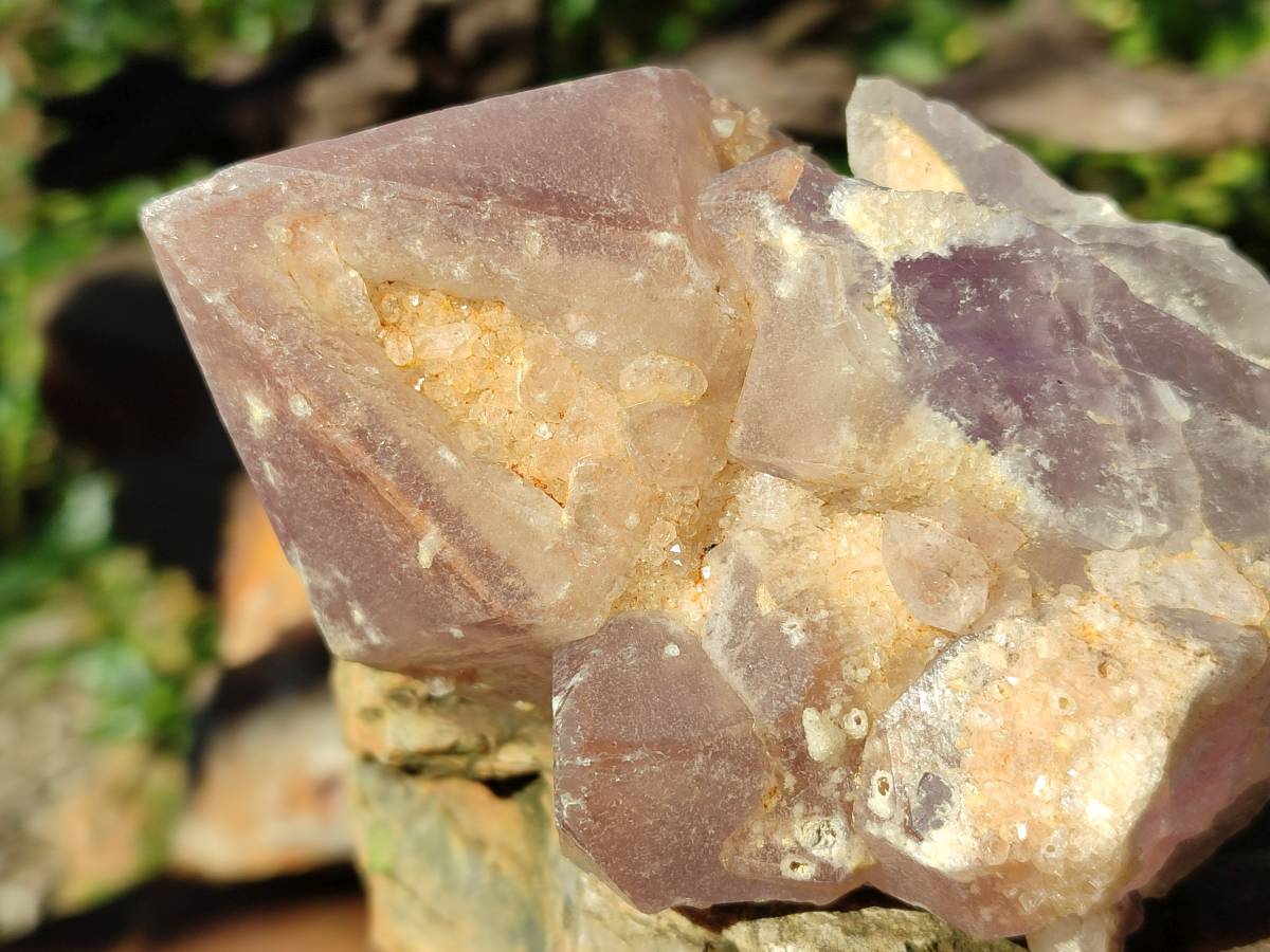 Natural Jacaranda Amethyst Quartz Clusters x 5 From Mumbwa, Zambia - Toprock Gemstones and Minerals 