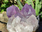 Natural Jacaranda Amethyst Quartz Clusters x 5 From Mumbwa, Zambia - Toprock Gemstones and Minerals 