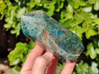 Polished Blue Apatite Points x 4 From Betroka, Madagascar - Toprock Gemstones and Minerals 