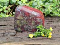 Polished Bastite Dragons Blood Standing Free Form x 1 From Tshipise, South Africa