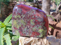 Polished Bastite Dragons Blood Standing Free Form x 1 From Tshipise, South Africa
