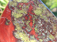 Polished Bastite Dragons Blood Standing Free Form x 1 From Tshipise, South Africa
