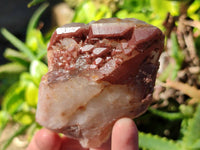 Natural Red Hematoid Quartz Clusters x 6 From Karoi, Zimbabwe