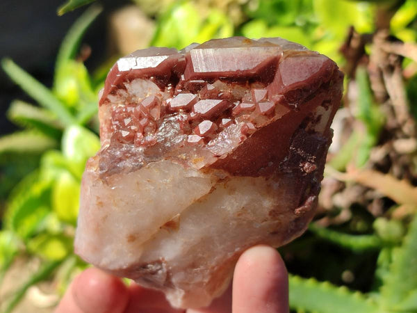Natural Red Hematoid Quartz Clusters x 6 From Karoi, Zimbabwe
