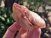 Natural Red Hematoid Quartz Clusters x 6 From Karoi, Zimbabwe