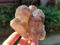 Natural Red Hematoid Quartz Clusters x 6 From Karoi, Zimbabwe