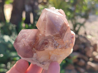 Natural Red Hematoid Quartz Clusters x 6 From Karoi, Zimbabwe