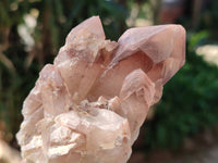 Natural Red Hematoid Quartz Clusters x 6 From Karoi, Zimbabwe