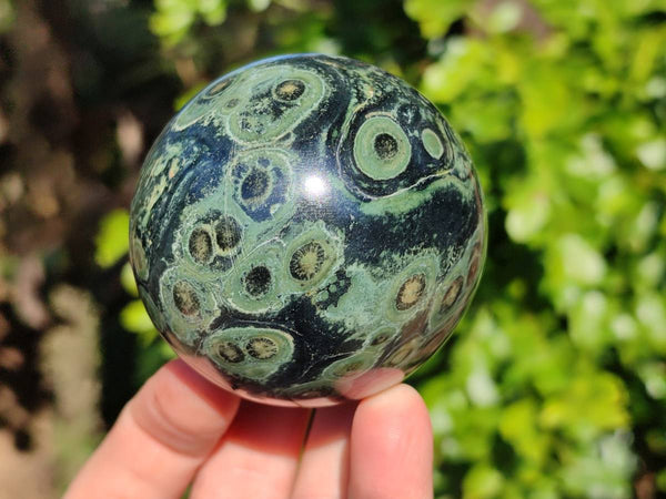 Polished Fossilized Stromatolite Jasper Spheres x 3 From Katsepy, Madagascar