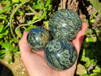Polished Fossilized Stromatolite Jasper Spheres x 3 From Katsepy, Madagascar