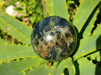 Polished Fossilized Stromatolite Jasper Spheres x 3 From Katsepy, Madagascar