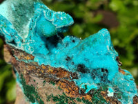 Natural Drusy Coated Chrysocolla Specimens x 3 From Lupoto Mine, Congo