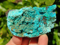 Natural Drusy Coated Chrysocolla Specimens x 3 From Lupoto Mine, Congo
