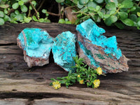 Natural Drusy Coated Chrysocolla Specimens x 3 From Lupoto Mine, Congo