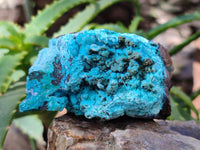 Natural Drusy Coated Chrysocolla Specimens x 3 From Lupoto Mine, Congo