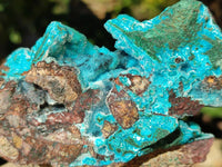 Natural Drusy Coated Chrysocolla Specimens x 3 From Lupoto Mine, Congo