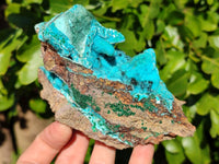 Natural Drusy Coated Chrysocolla Specimens x 3 From Lupoto Mine, Congo