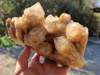 Natural Phantom Smokey Quartz Cluster x 1 From Luena, Congo