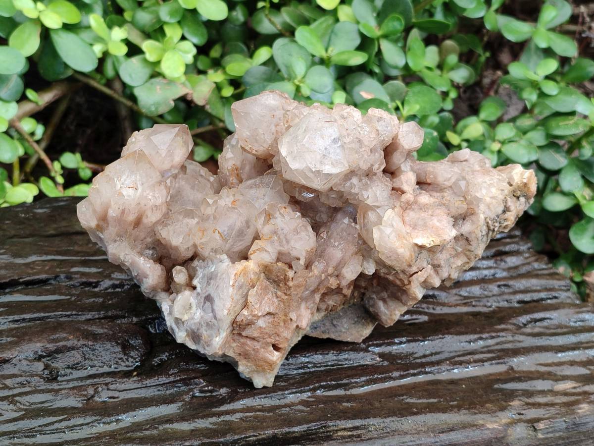 Natural Phantom Smokey Quartz Cluster x 1 From Luena, Congo - Toprock Gemstones and Minerals 