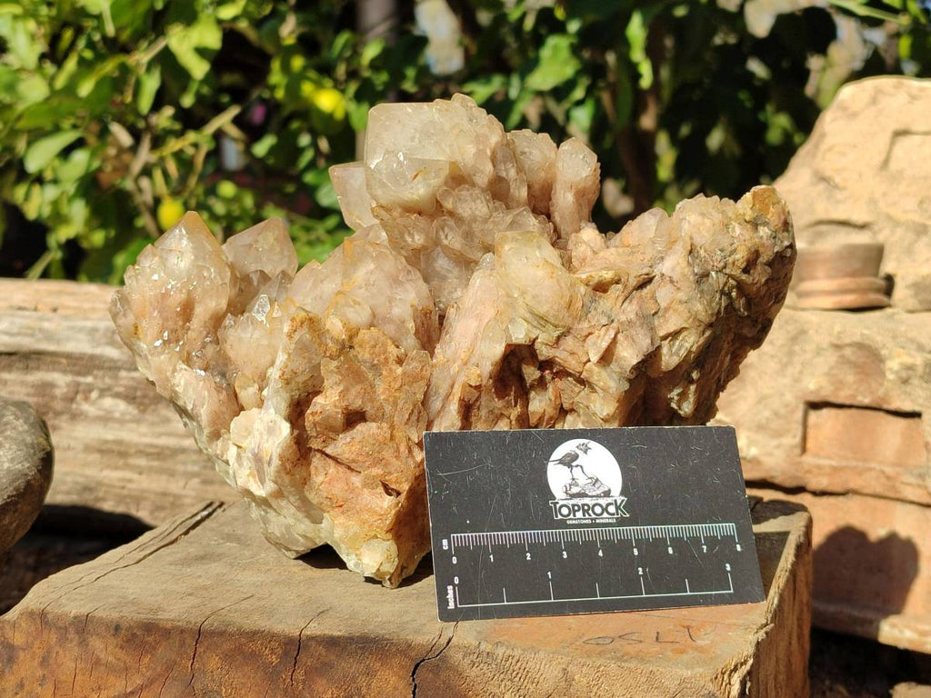 Natural Phantom Smokey Quartz Cluster x 1 From Luena, Congo - Toprock Gemstones and Minerals 