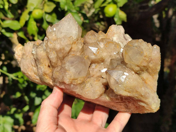 Natural Phantom Smokey Quartz Cluster x 1 From Luena, Congo