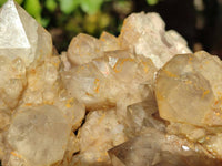 Natural Phantom Smokey Quartz Cluster x 1 From Luena, Congo