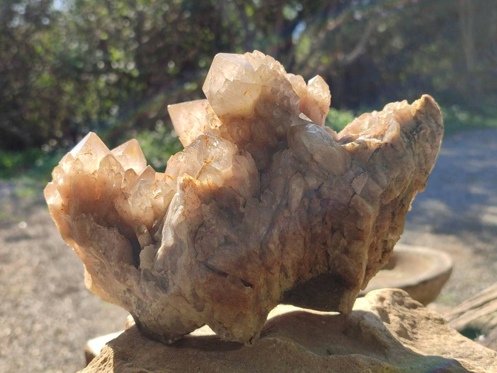 Natural Phantom Smokey Quartz Cluster x 1 From Luena, Congo - Toprock Gemstones and Minerals 