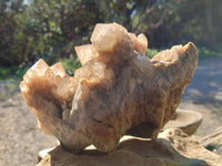 Natural Phantom Smokey Quartz Cluster x 1 From Luena, Congo