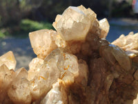 Natural Phantom Smokey Quartz Cluster x 1 From Luena, Congo