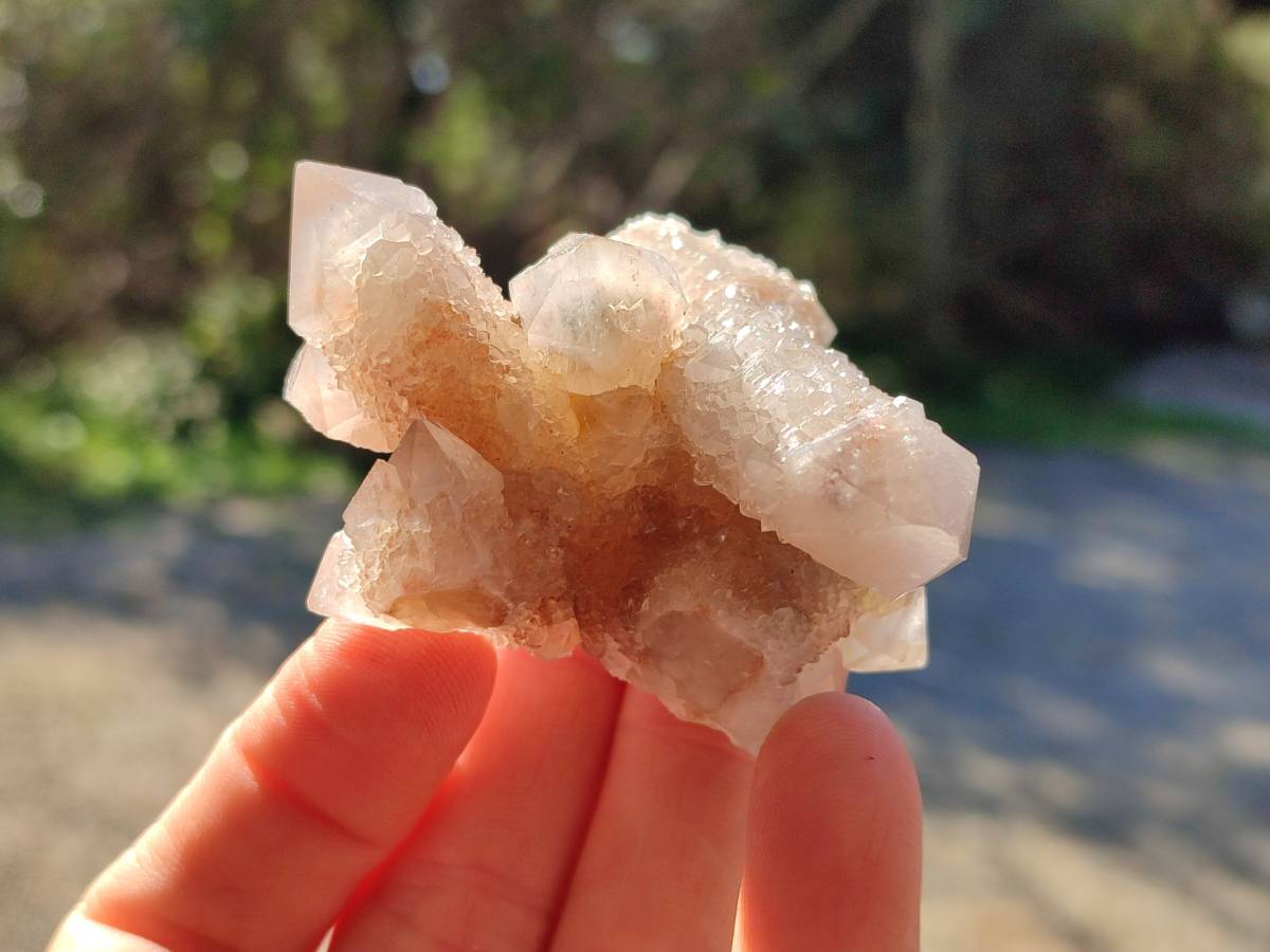 Natural Fairy Spirit Quartz Clusters x 12 From Boekenhouthoek, South Africa - Toprock Gemstones and Minerals 